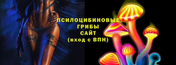 ешки Алексин