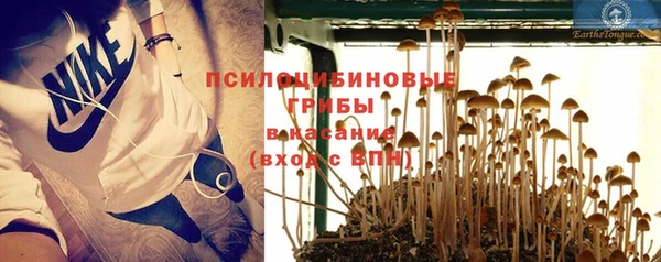 ешки Алексин
