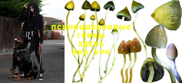 не бодяженный Абдулино